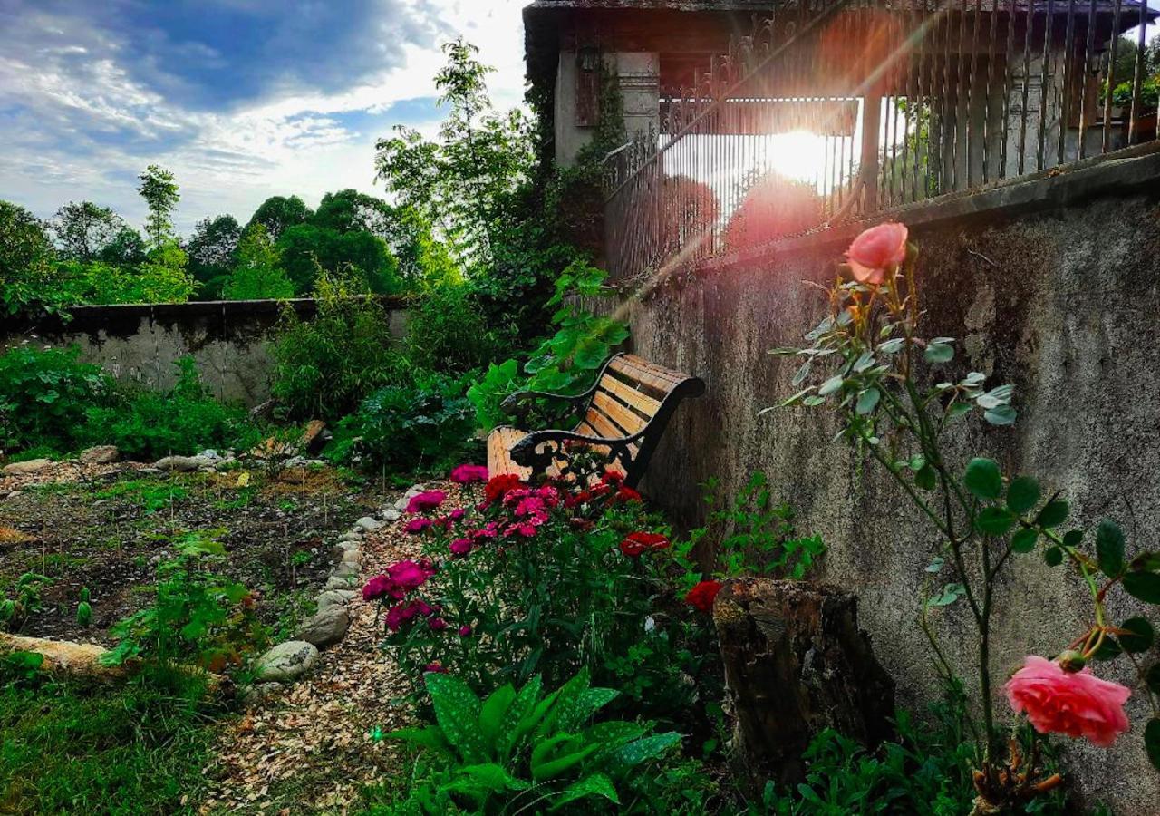 Tuzaguet Domaine Lou Castet Bed & Breakfast エクステリア 写真