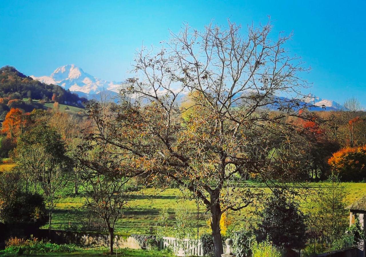 Tuzaguet Domaine Lou Castet Bed & Breakfast エクステリア 写真