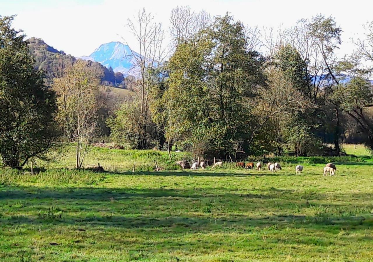 Tuzaguet Domaine Lou Castet Bed & Breakfast エクステリア 写真