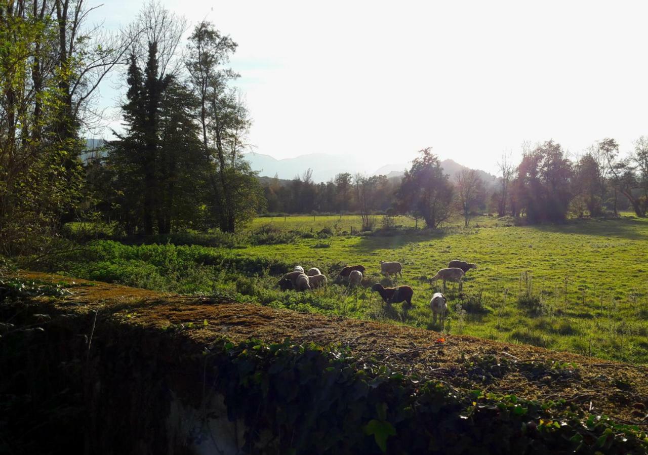 Tuzaguet Domaine Lou Castet Bed & Breakfast エクステリア 写真
